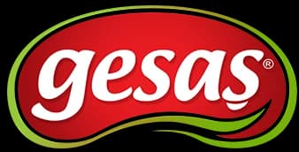 Gesaş